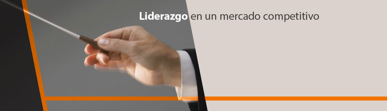 Liderazgo en un mercado competitivo