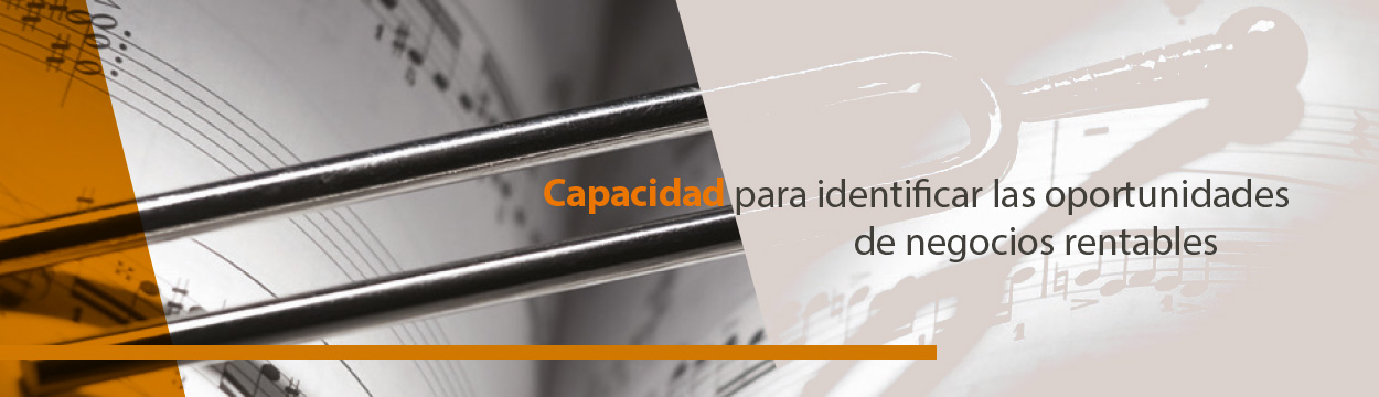 Capacidad para identificar las oportunidades de negocios rentables